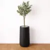 Artificial Olive Tree in Black Planter