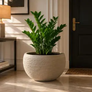 Large Round Beige Ceramic Planter
