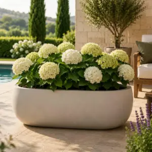 Modern Fiber Planter