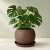 Large Brown Stoneware Planter with Saucer