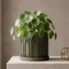 Gothic Arch 3D Printed Planter with Drainage Tray